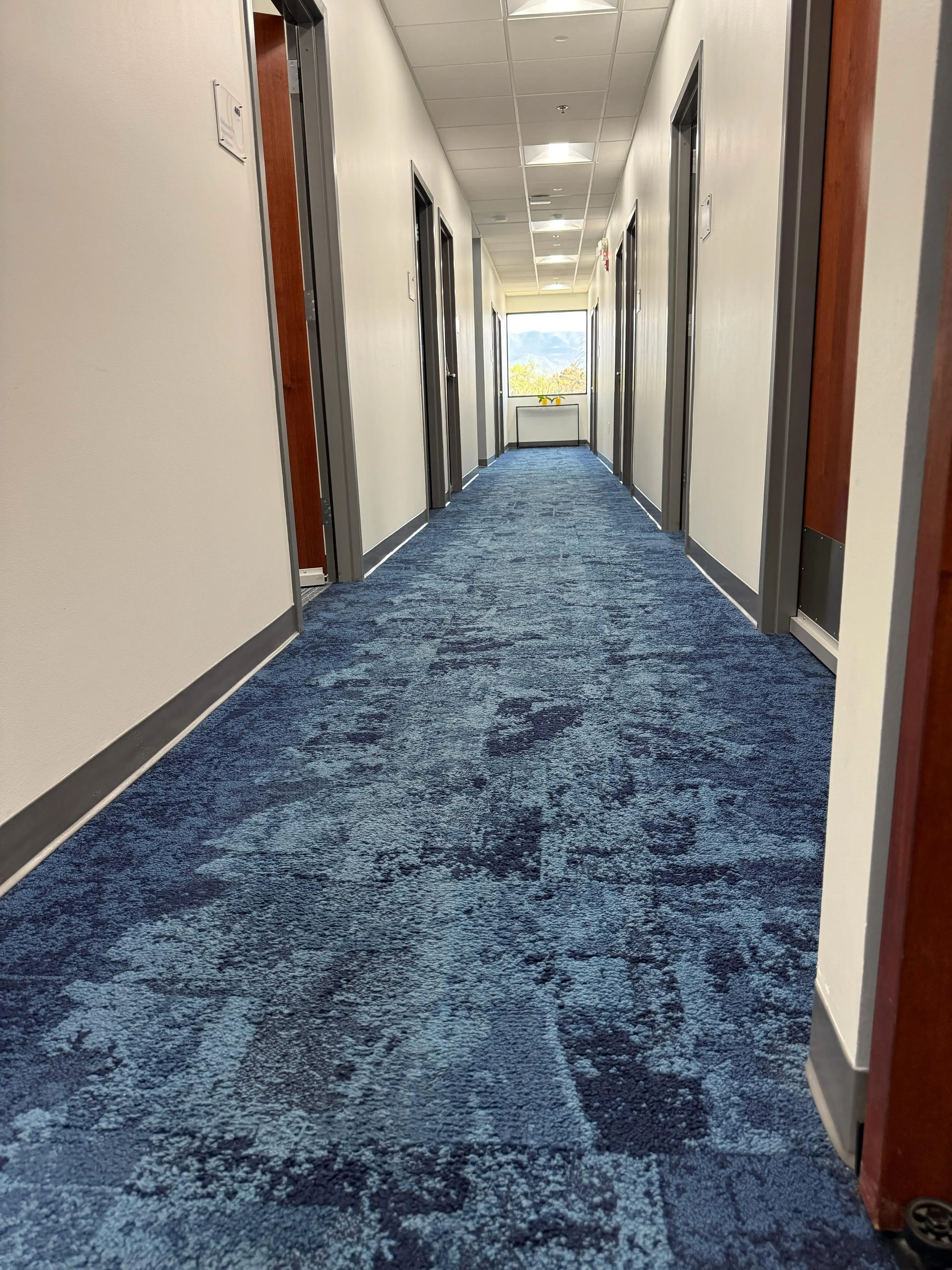 Rugs before cleaning services