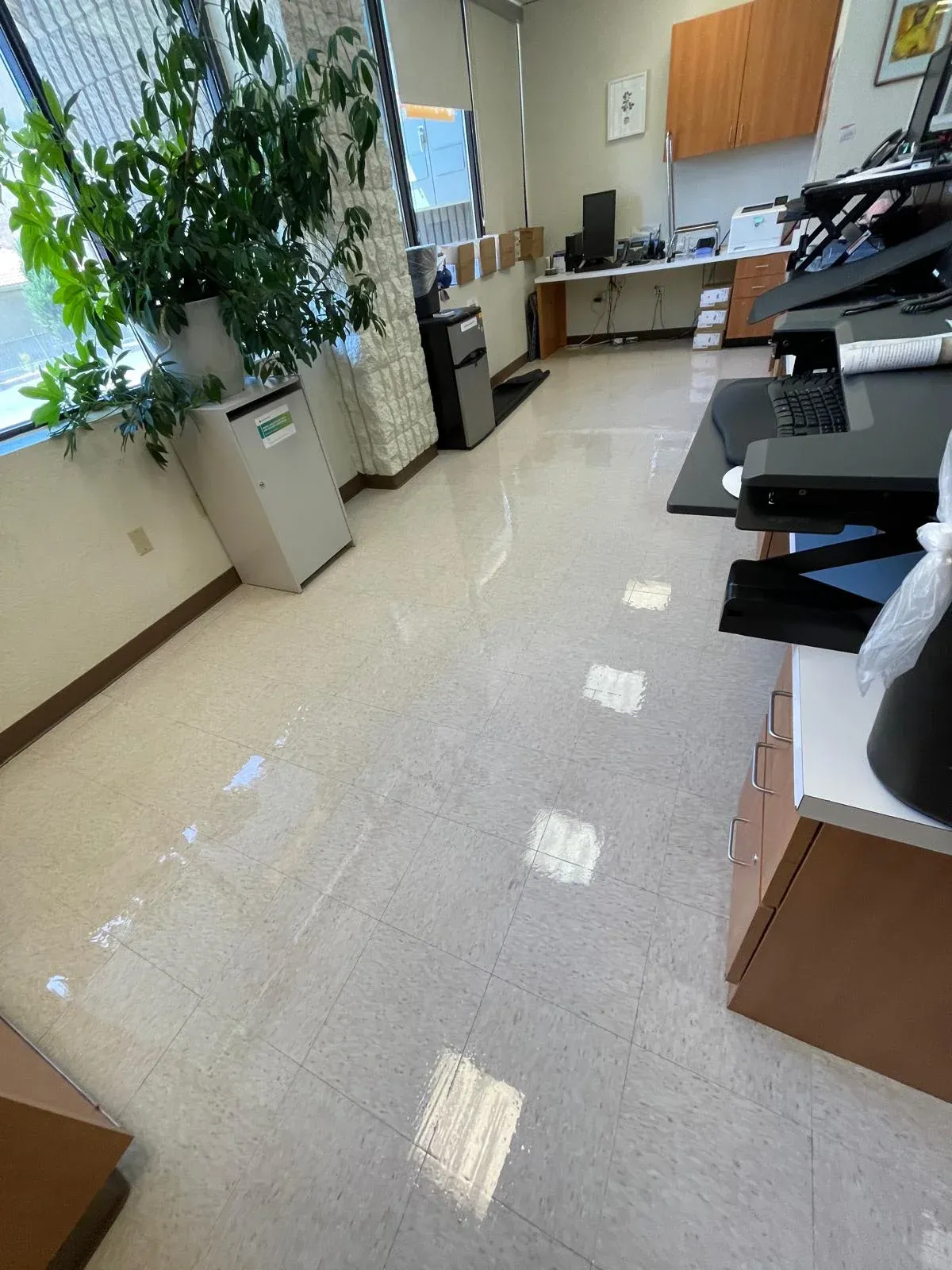 Strip and Wax before cleaning services