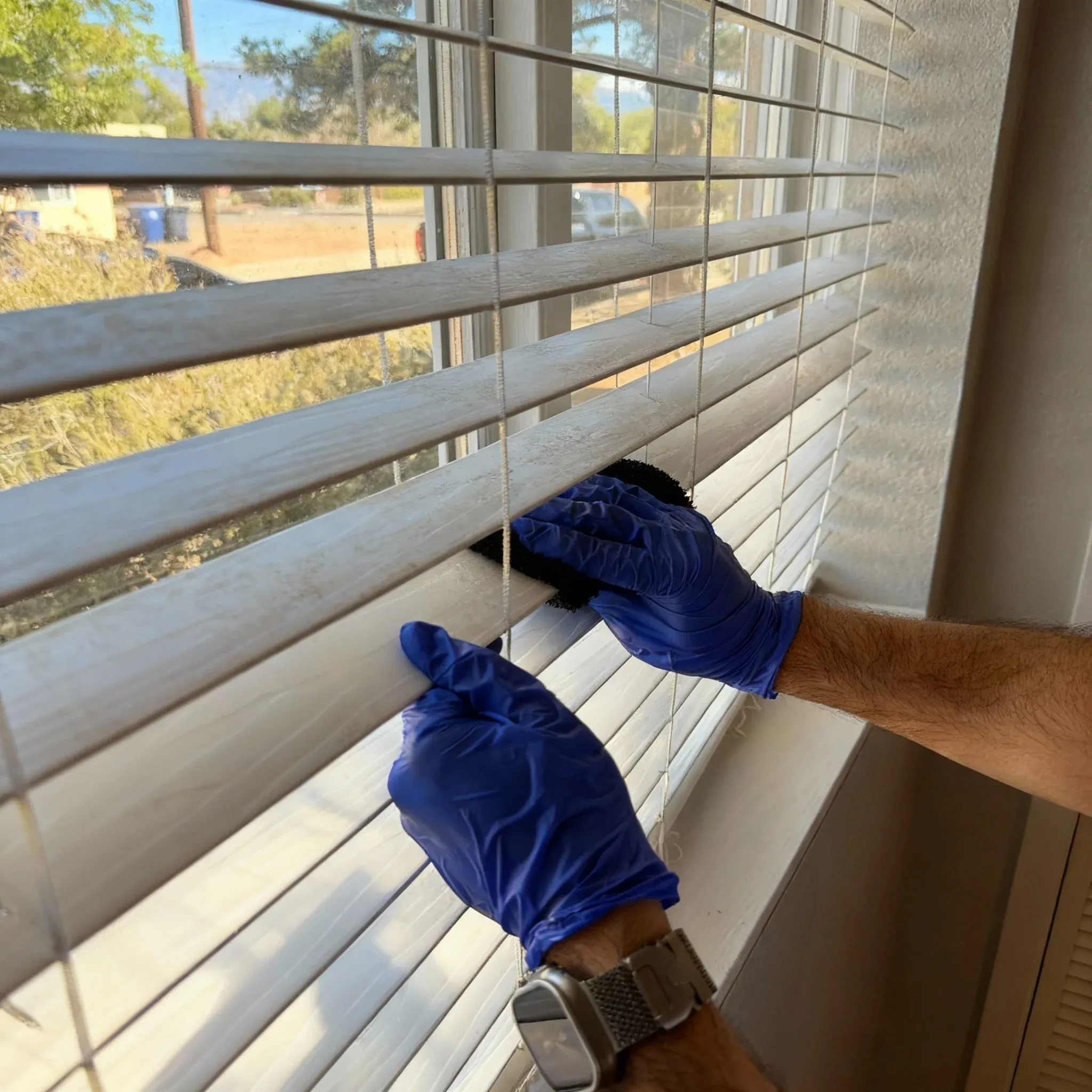 Window before cleaning services